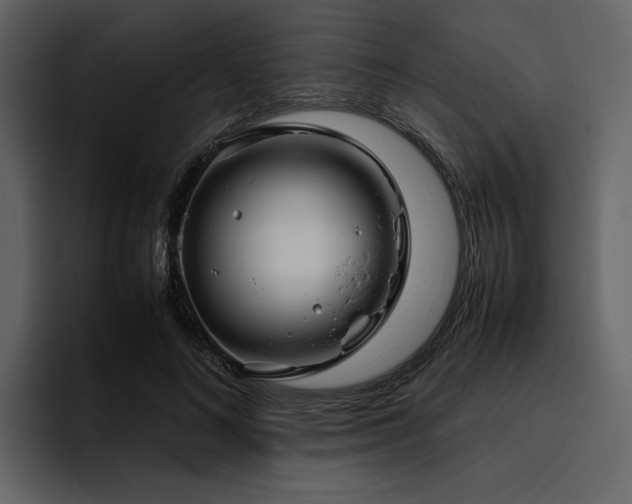 X0000095950692200801111350