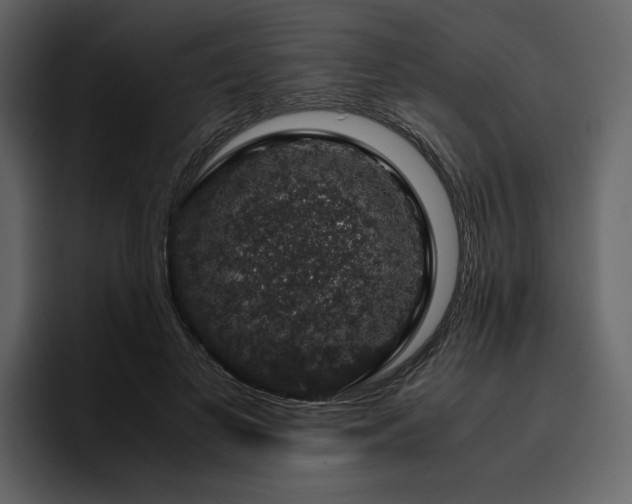 X0000095950693200801111350