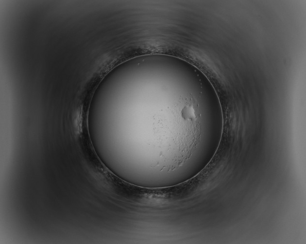 X0000095950694200801111350