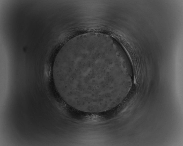 X0000095950695200801111350
