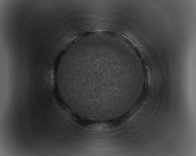 X0000095950696200801111350