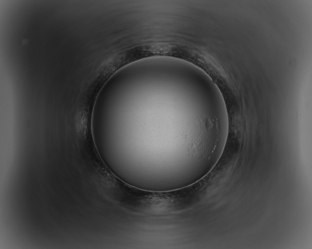 X0000095950697200801111350