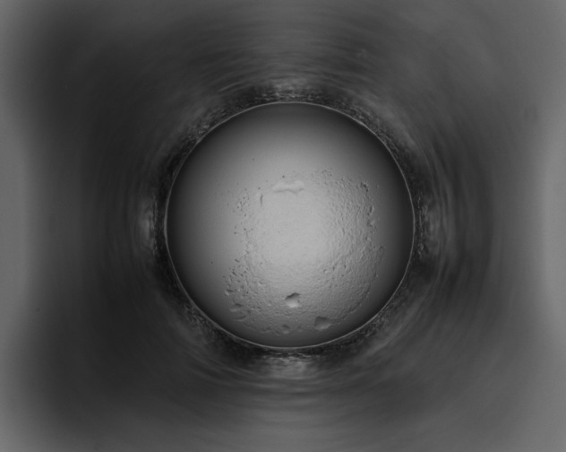 X0000095950698200801111350