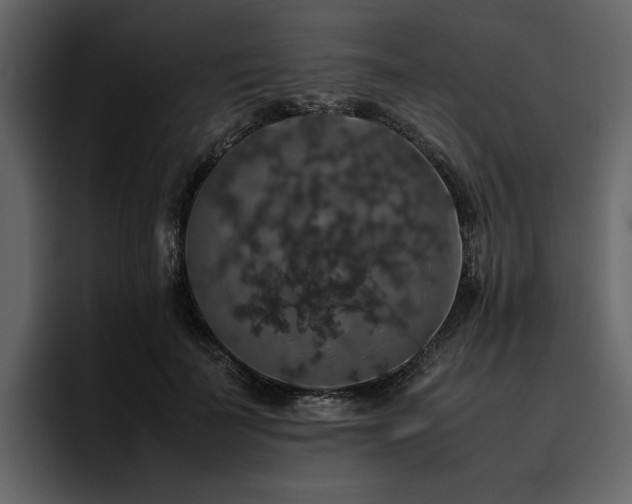 X0000095950699200801111350