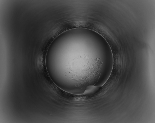 X0000095950700200801111350
