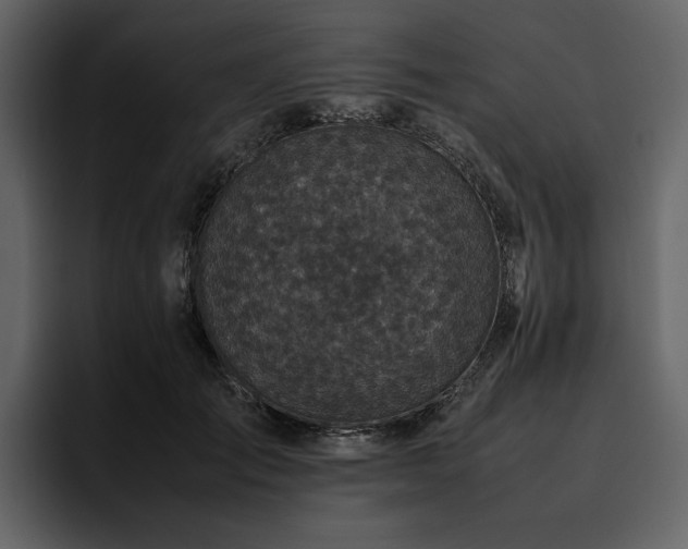 X0000095950701200801111350