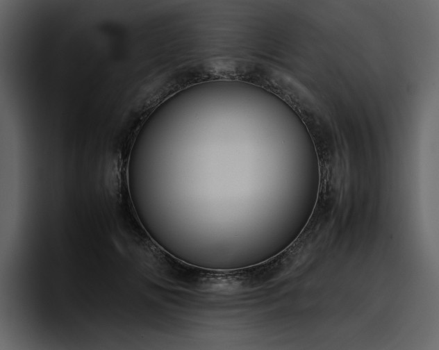 X0000095950702200801111350