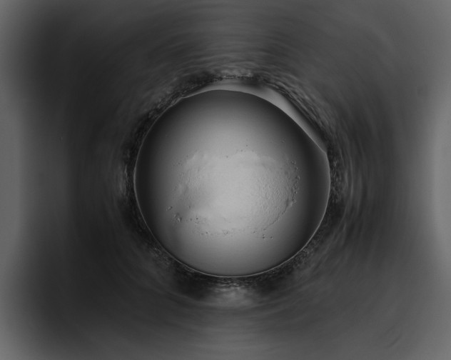 X0000095950704200801111350