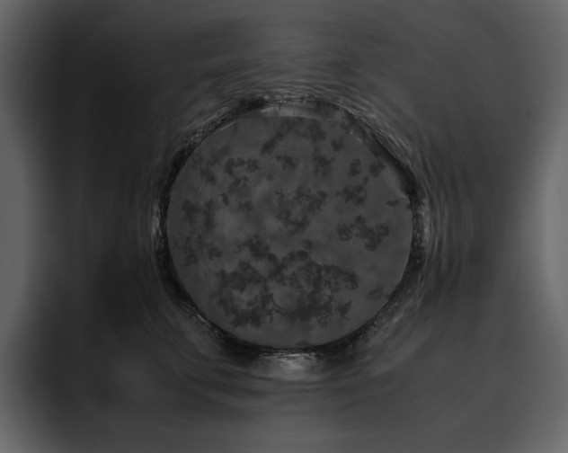 X0000095950711200801111350