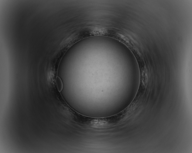 X0000095950714200801111350