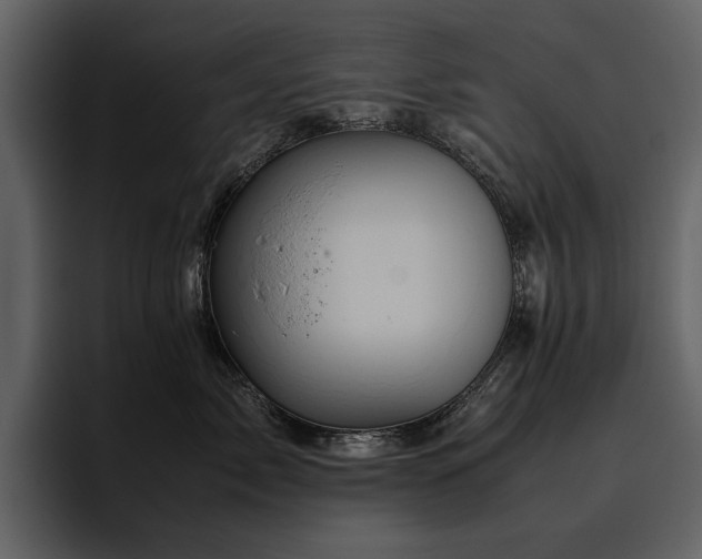 X0000095950717200801111350