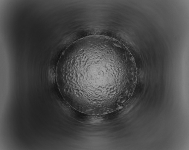X0000095950719200801111350
