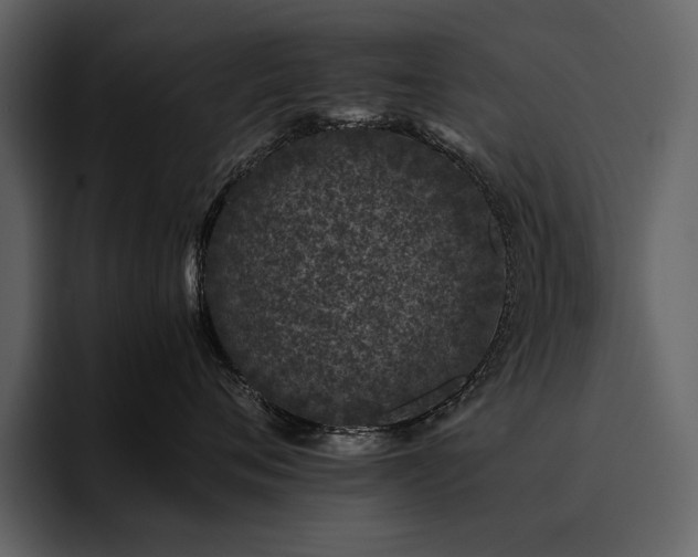 X0000095950720200801111350