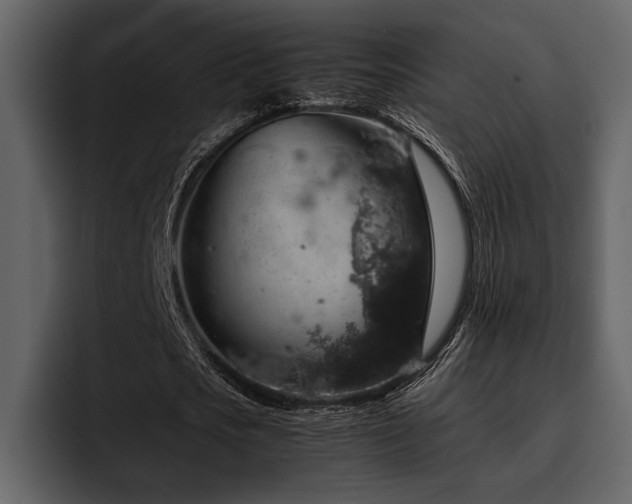 X0000095950721200801111349