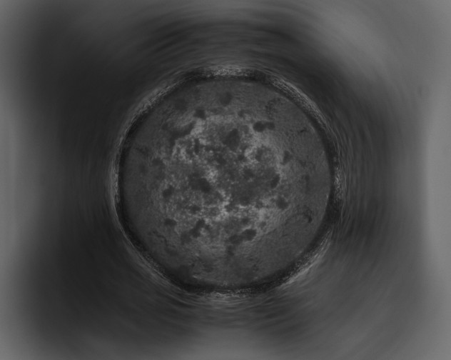 X0000095950725200801111349