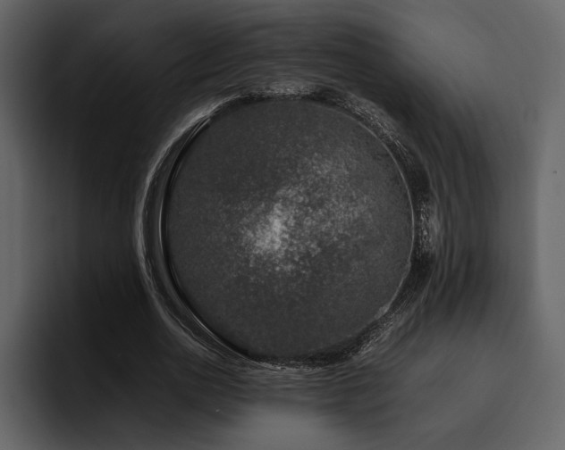 X0000095950726200801111349