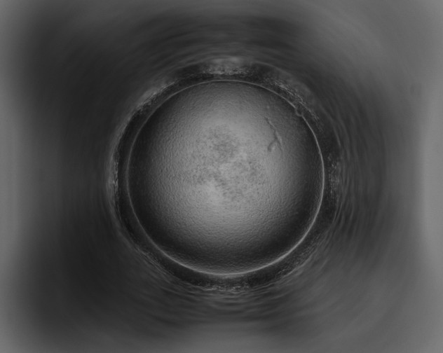 X0000095950727200801111349