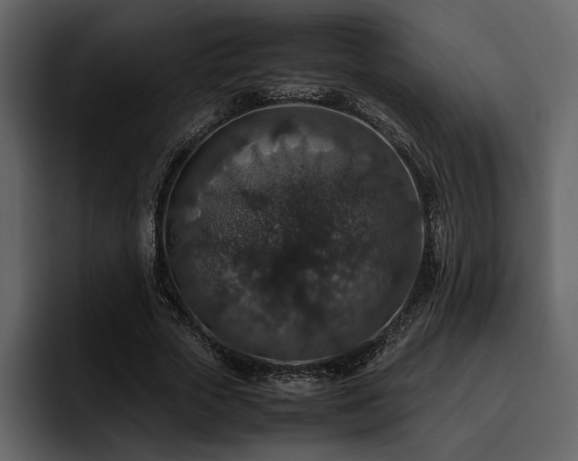 X0000095950729200801111349