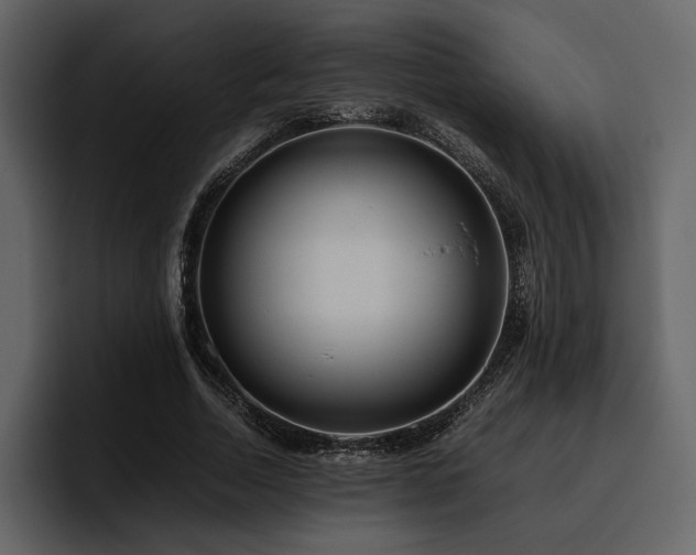 X0000095950730200801111349