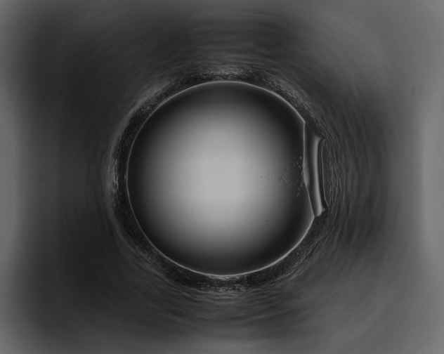 X0000095950731200801111349