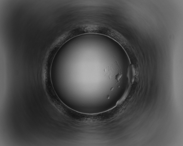 X0000095950732200801111349