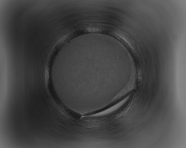 X0000095950733200801111349