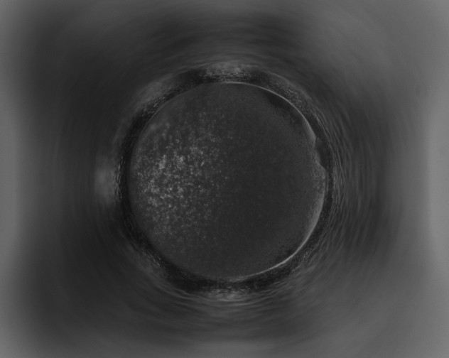 X0000095950735200801111349