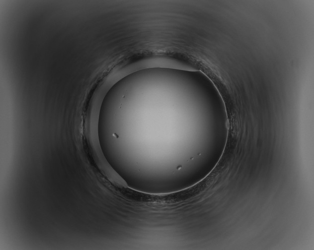 X0000095950740200801111349