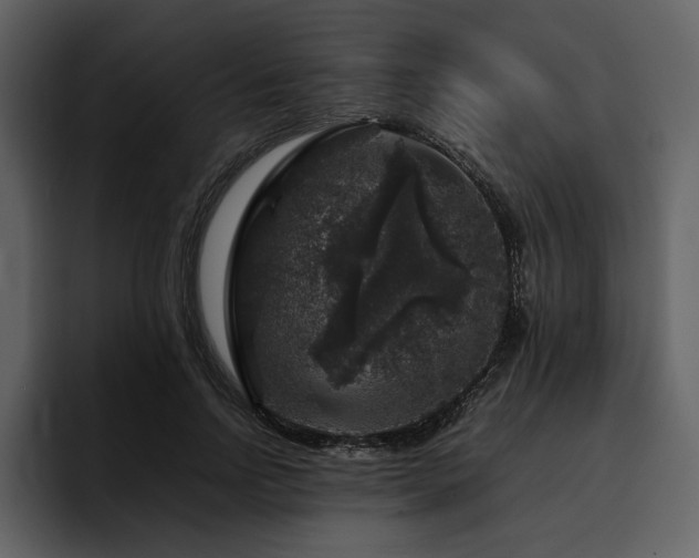 X0000095950742200801111349