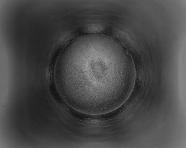 X0000095950743200801111349
