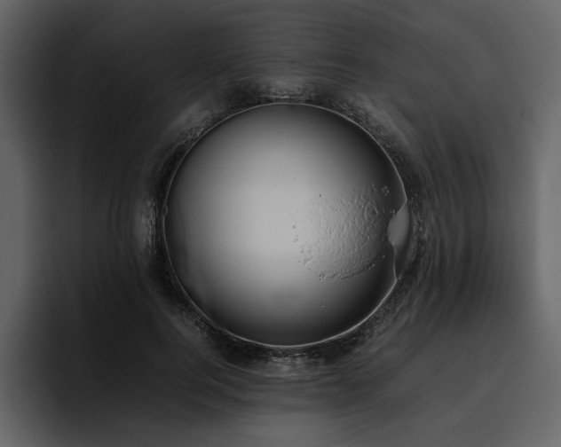 X0000095950744200801111349