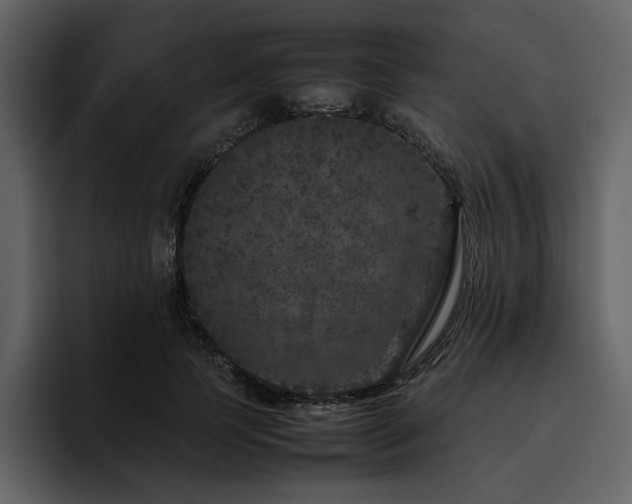 X0000095950745200801111349