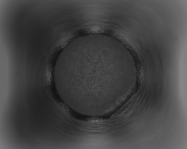 X0000095950746200801111349
