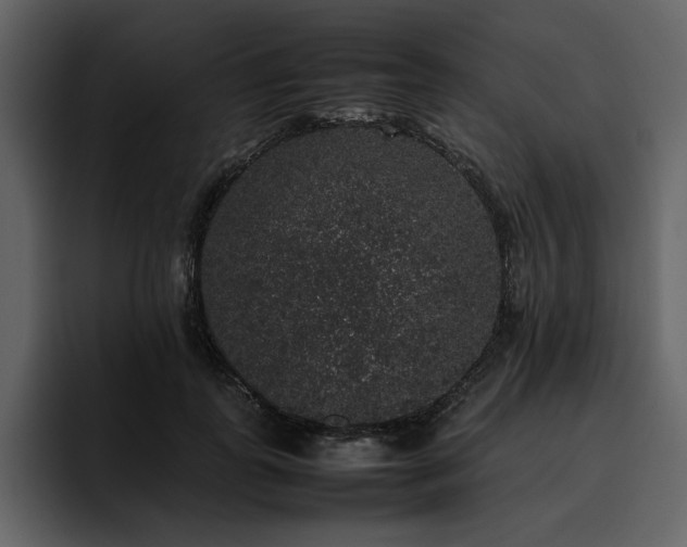 X0000095950747200801111349