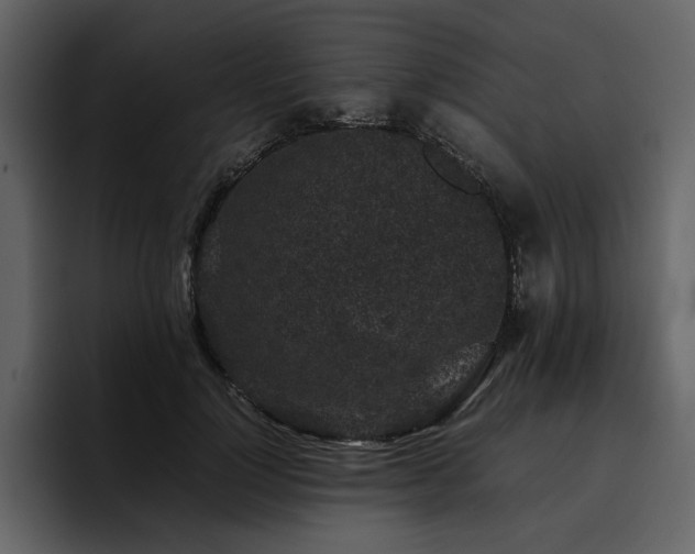 X0000095950748200801111349