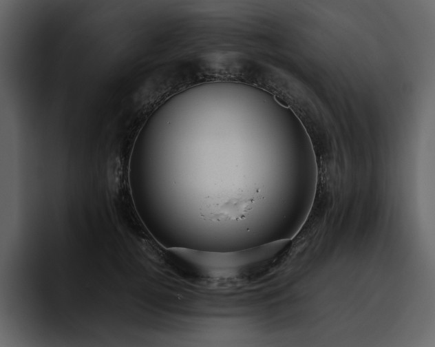 X0000095950752200801111349
