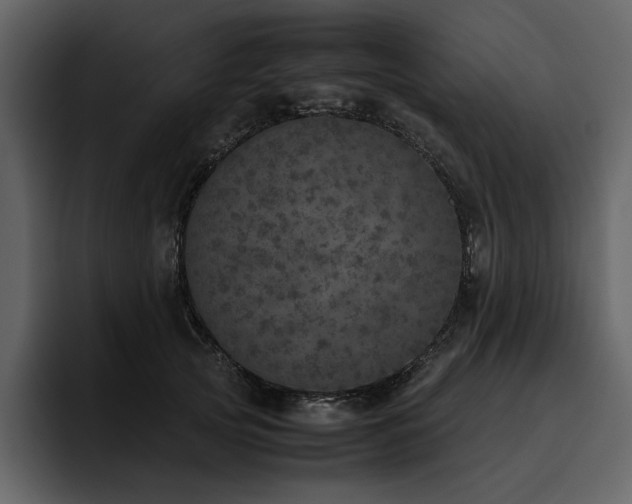 X0000095950753200801111349