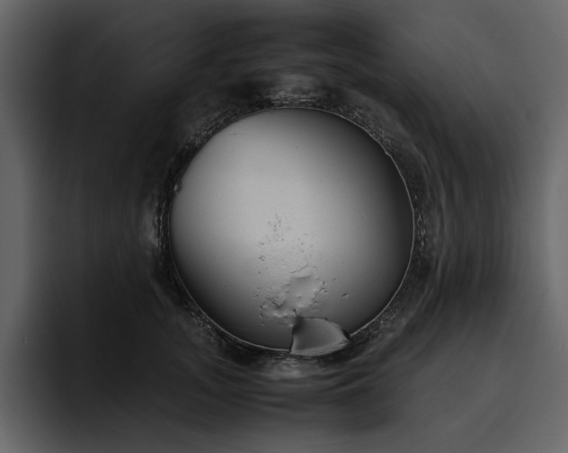 X0000095950755200801111349