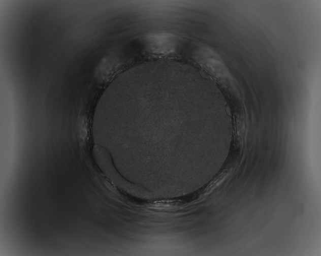 X0000095950758200801111350