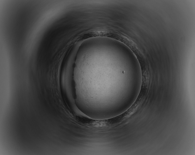 X0000095950762200801111350