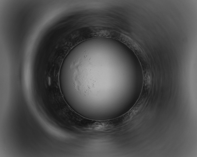 X0000095950764200801111350