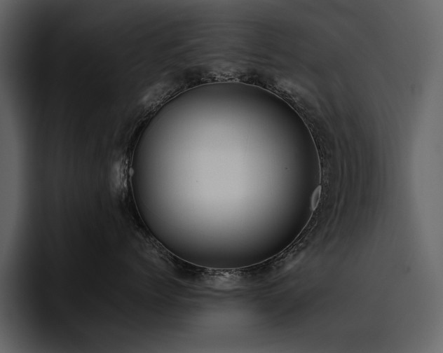 X0000095950768200801111350