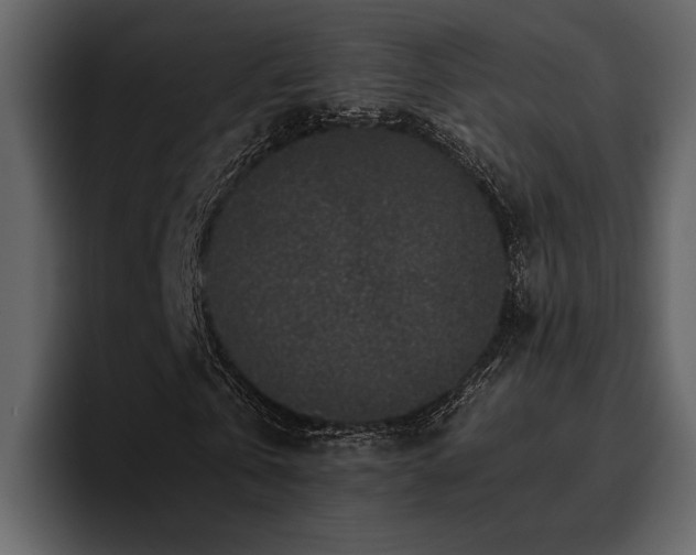X0000095950769200801111349