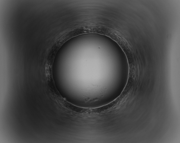 X0000095950770200801111349