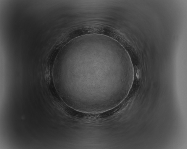 X0000095950771200801111349