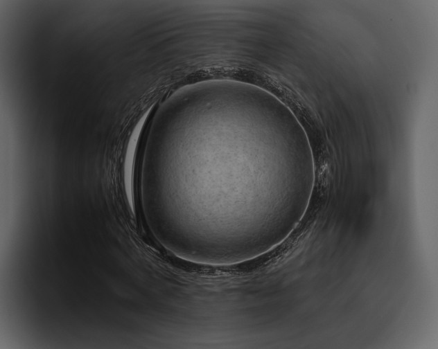X0000095950772200801111349