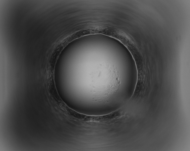 X0000095950773200801111349