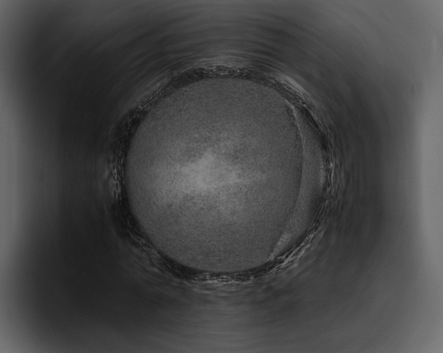 X0000095950774200801111349