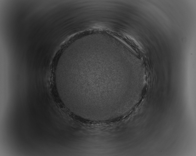 X0000095950776200801111349