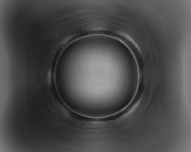 X0000095950777200801111349
